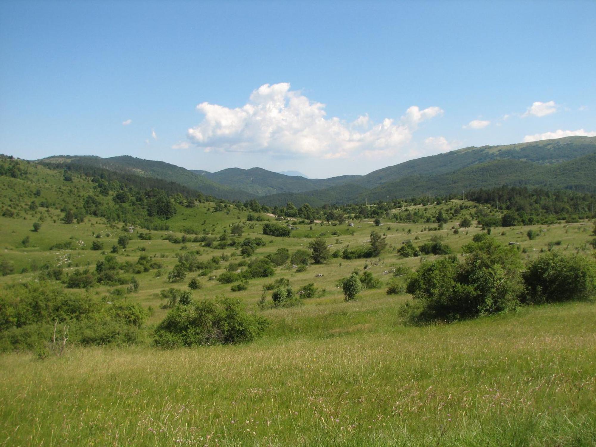 Guest House Pod Slavnikom Podgorje  Екстериор снимка